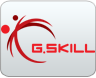 g.skill logo